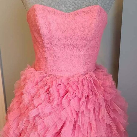 Betsey Johnson Dresses & Skirts - BETSEY JOHNSON Pink Lace & Tulle Dress, Size 0